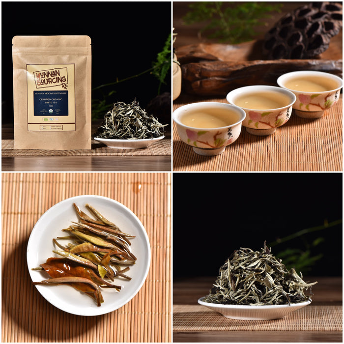 Yunnan Sourcing Brand Organic Tea Sampler | Yunnan Sourcing Tea Shop